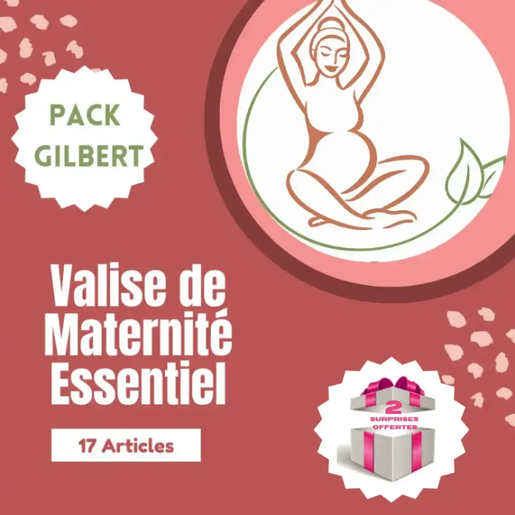 Valise de Maternité Essentiel Pack Gilbert 17 Articles 