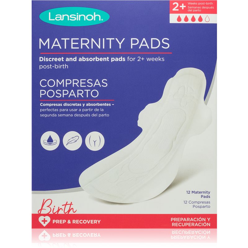 Lansinoh 12 Serviettes maternité  2+ semaines