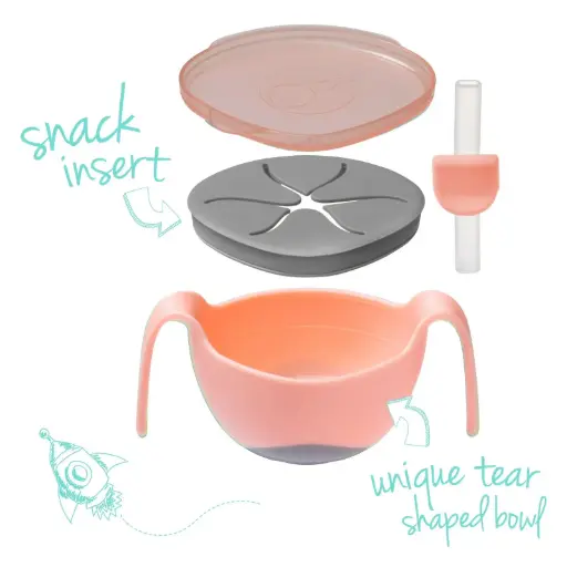 وعاء بي بوكس ​​مع القش - سمك السلمون